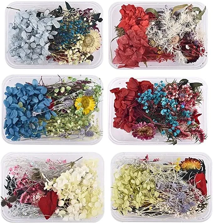 Pressed flowers
