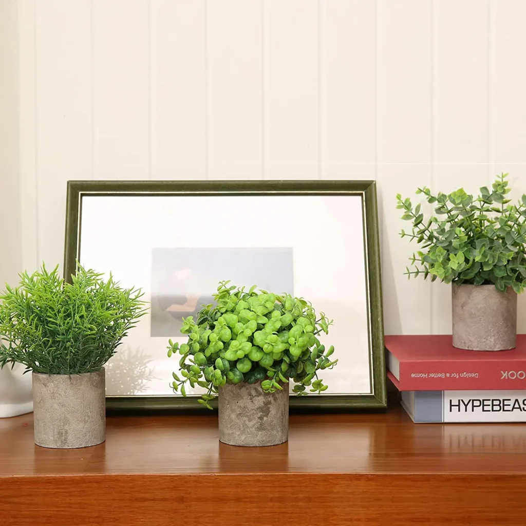 Fake Plants