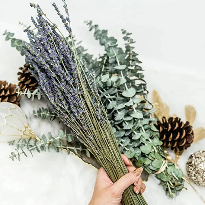 artificial and dried flora
