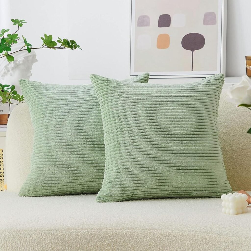 2 Fall Decorative Pillows for Living Room