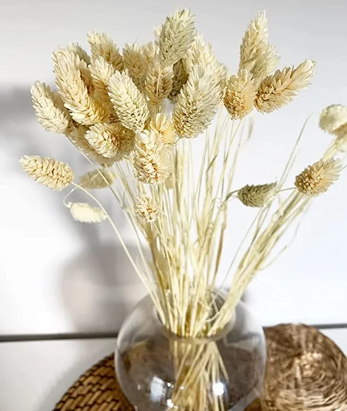 How To Make Dried or Pressed Flowers At Home (A Beautiful Way To Add Colour)