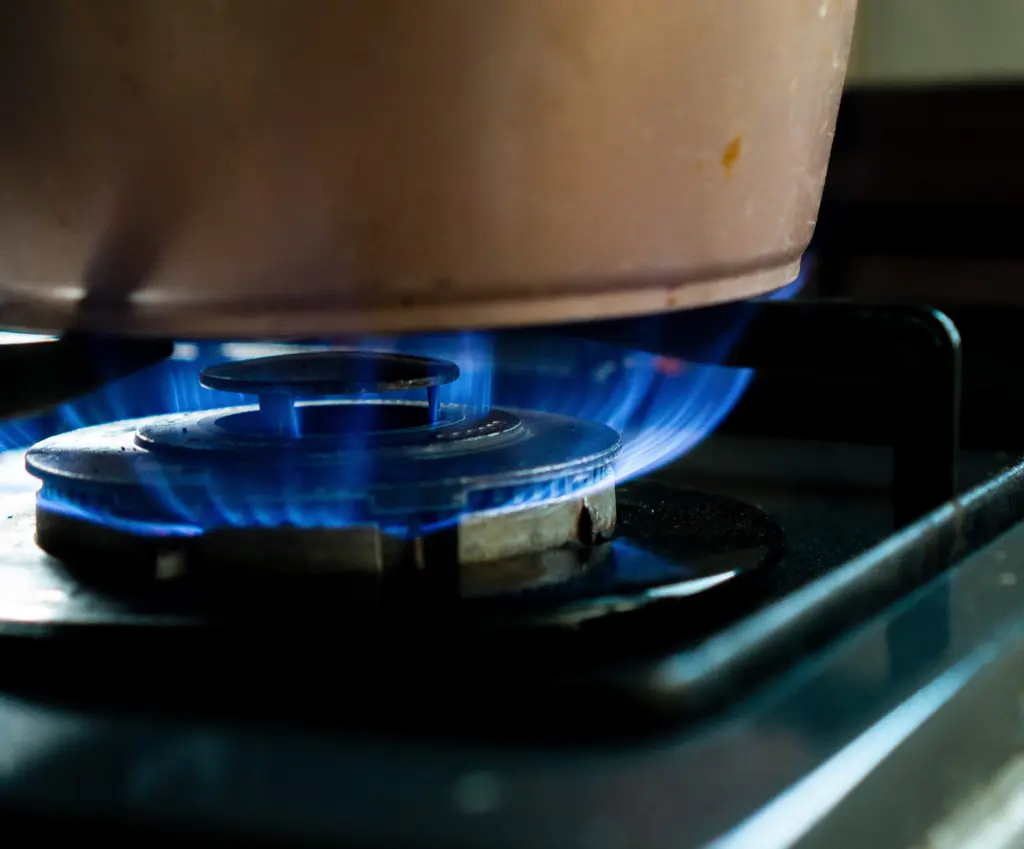 What Is The Best Stove To Buy? Things To Consider Before You Go Shopping