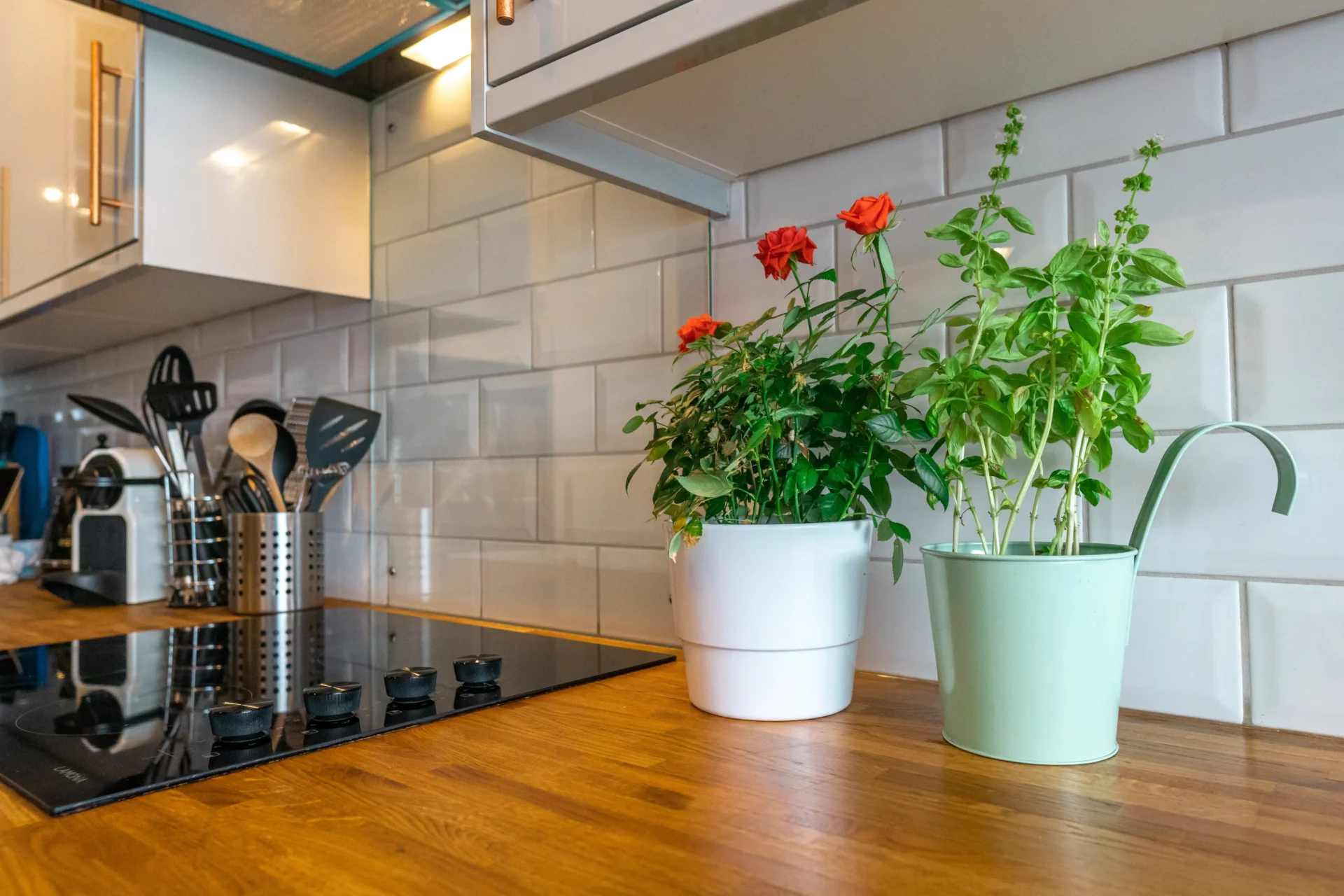 Kitchen Plants Decor: 5 Unique Ideas To Give Your Home A Natural Feel