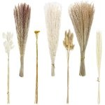 Home decor, Dried Flowers