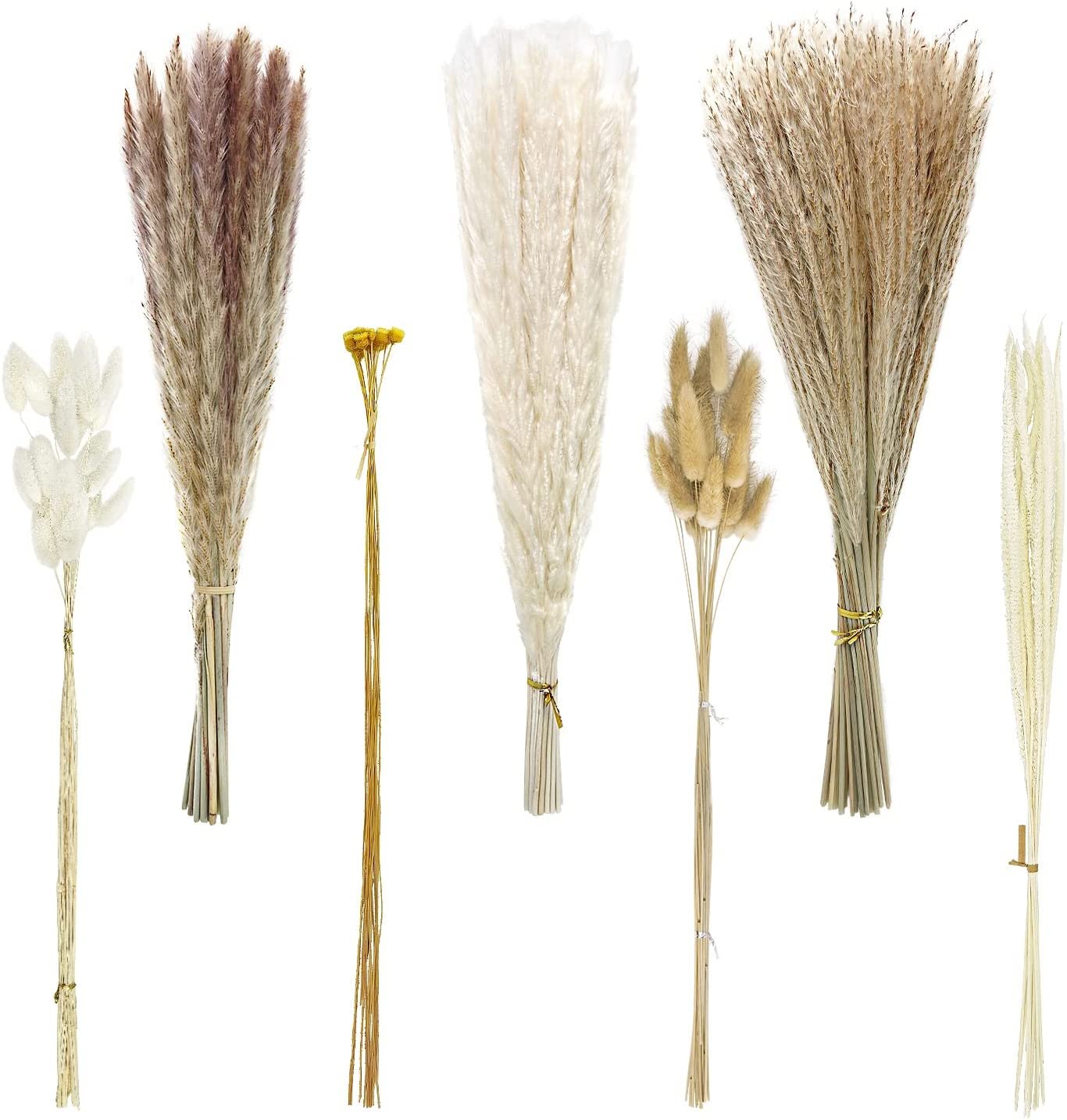 Natural Dried Boho Pampas Grass Flowers