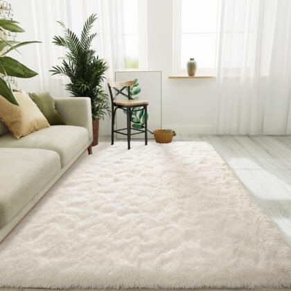 home decor, rug