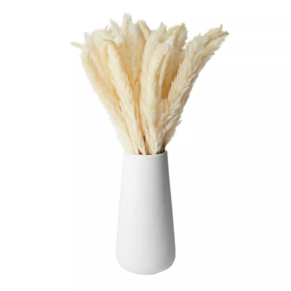 40 Pcs Natural Dried Pampas Grass with Vase