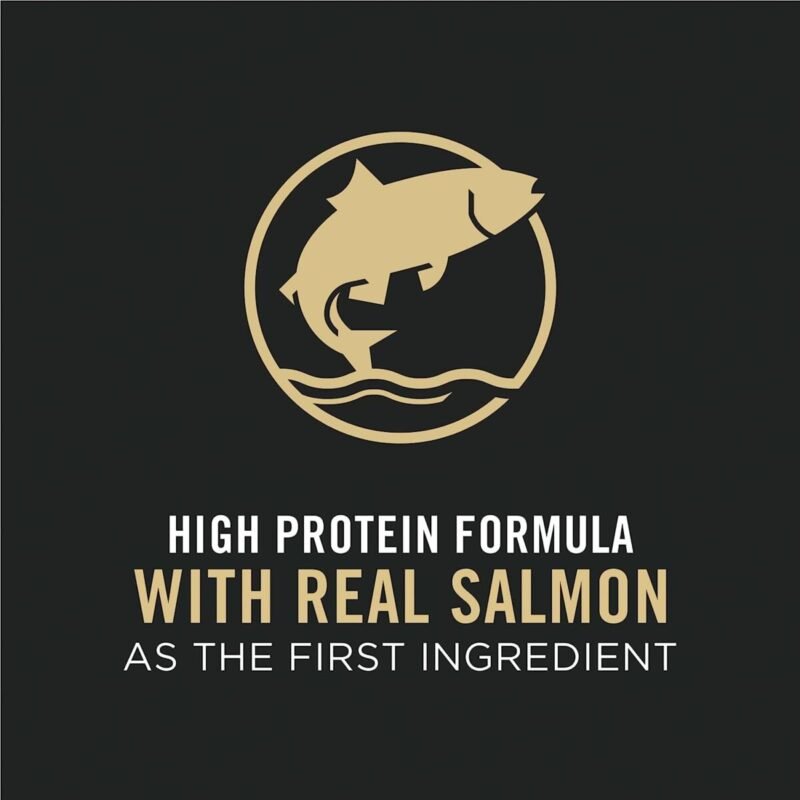 Food supplements, Protiens, Health & Nutrition, High Protein Cat Food