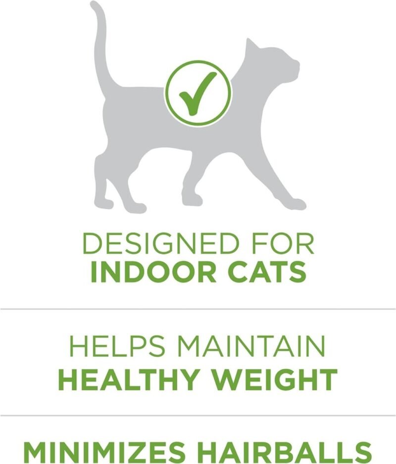 Health & household, food supplements, Natural Low Fat Cat Food