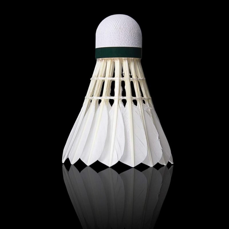 Sports & Outdoor, Sports & Games, Goose Feather Badminton Shuttlecocks