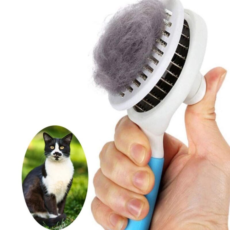 Nail Care, Nail Treatment, Massage Grooming Cat Brush