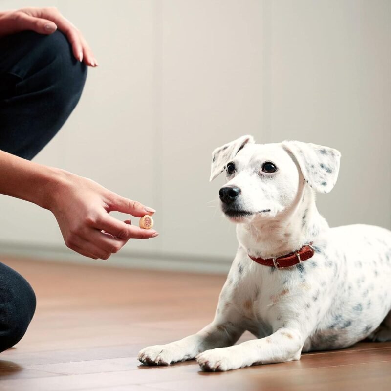 Pet Supplies, Dog Food, Maro Snacks Dog Treats