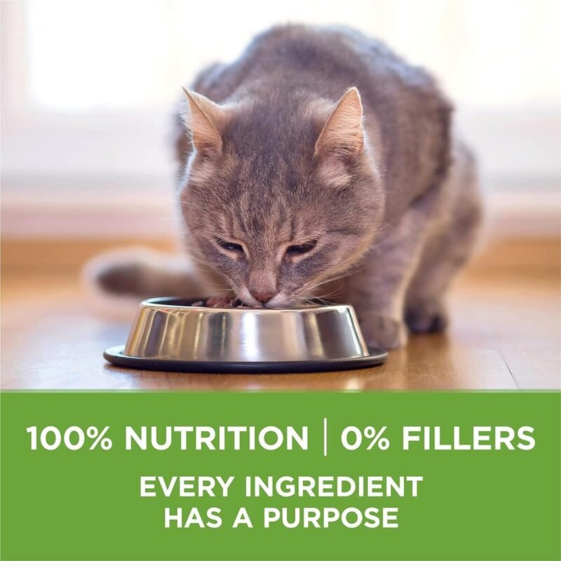 Health & household, food supplements, Natural Low Fat Cat Food