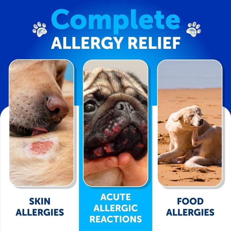 Pet Supplies, dog Food, dog Supplies, Allergy Relief Dog Chews