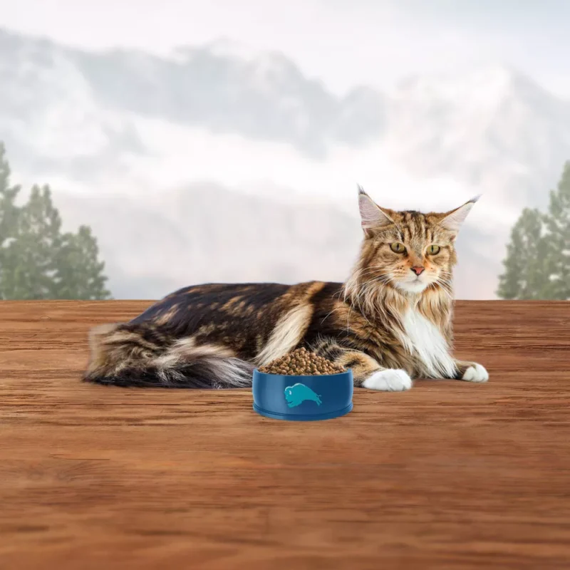 Pet Supplies, cat Food, cat Supplies, High Protein Cat Food