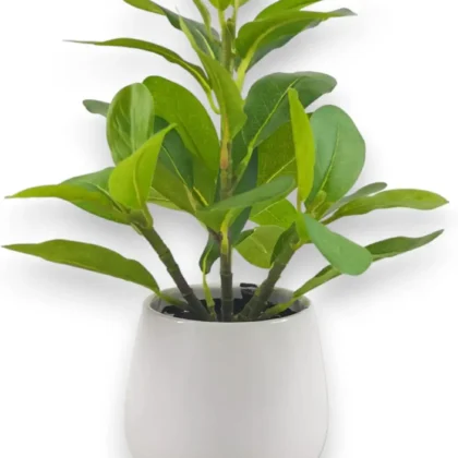 Derlily Small Artificial Plants Indoor Bean Green